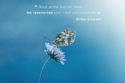 Citation